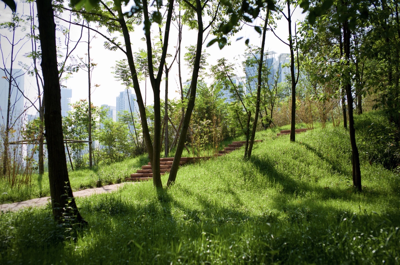 麓野公园丨中国成都丨四川乐道景观设计有限公司-51