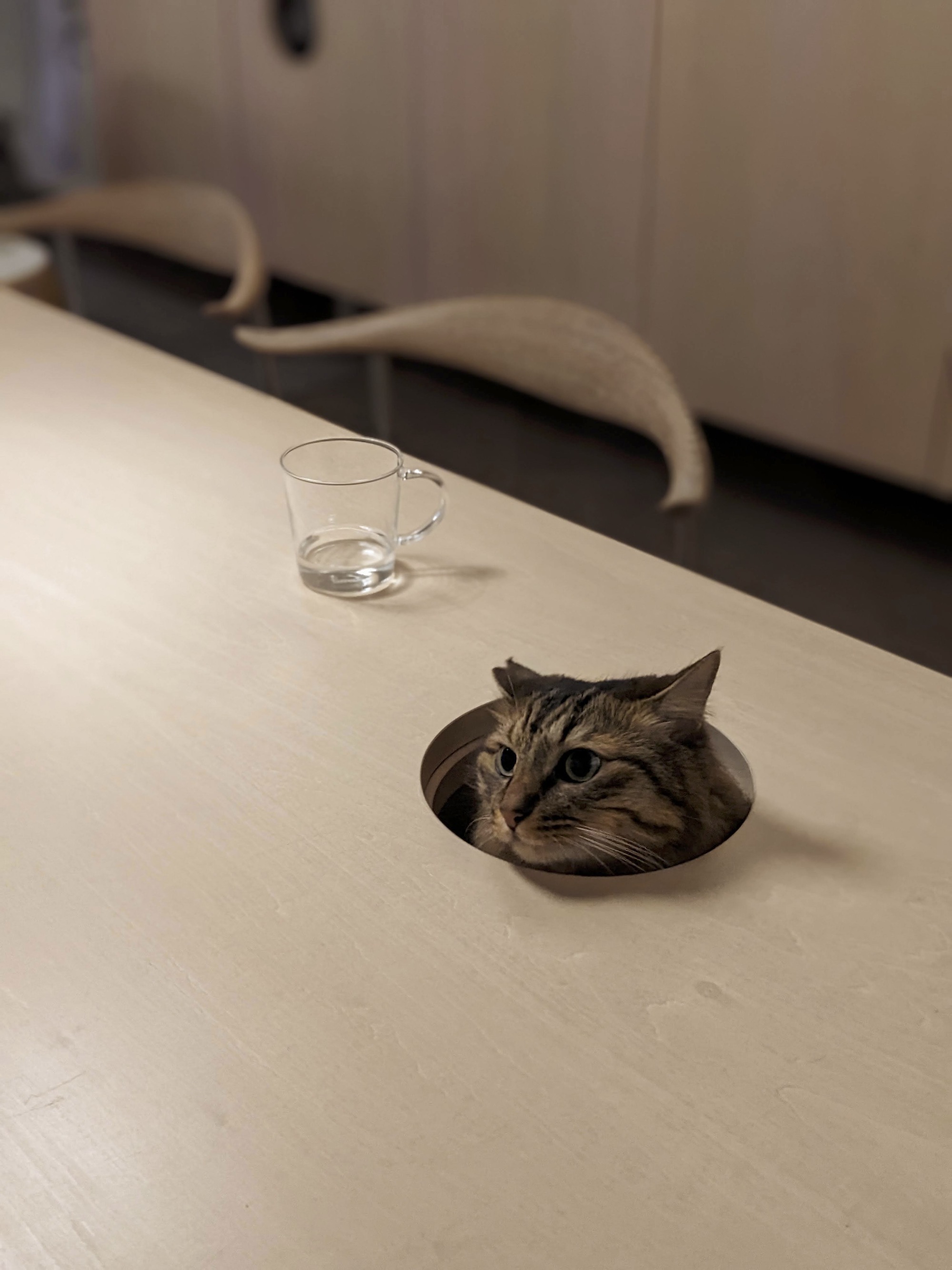 博科之家丨日本丨Hiroyasu Imai-31