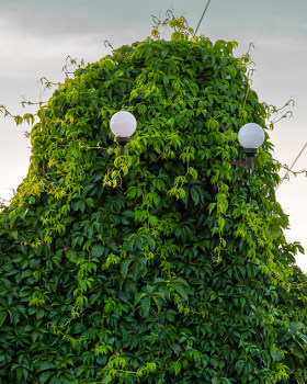 波兰奥波莱省“神秘生物”电线杆景点丨波兰波莱