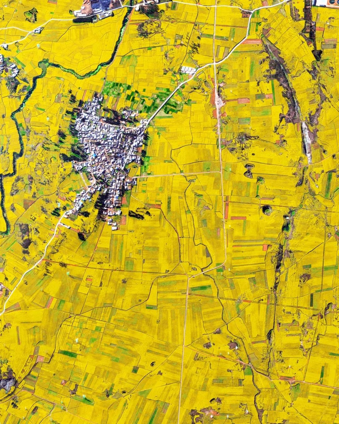 城市肌理 | 景观与建筑的完美融合-48