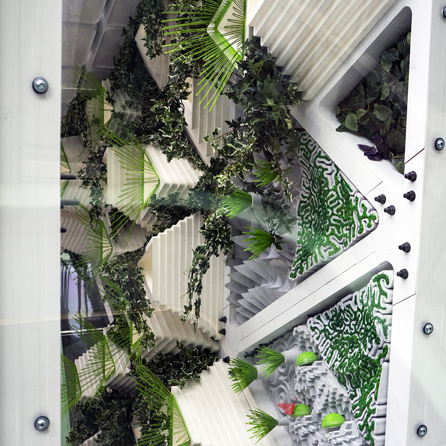 纽约生态建筑 · 为濒危 Monarch 蝴蝶打造的城市栖息地-45