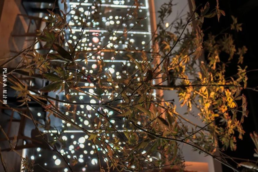 深圳 COCOPARK 泰式餐厅 | “乐卅市集”融入自然的美食空间-29