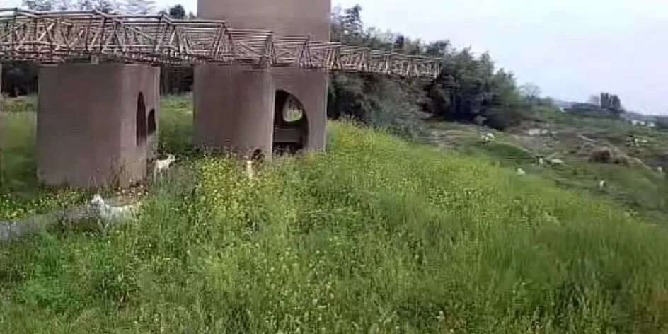 湿地洞窟配套驿站丨中国衢州丨Studio 10-66