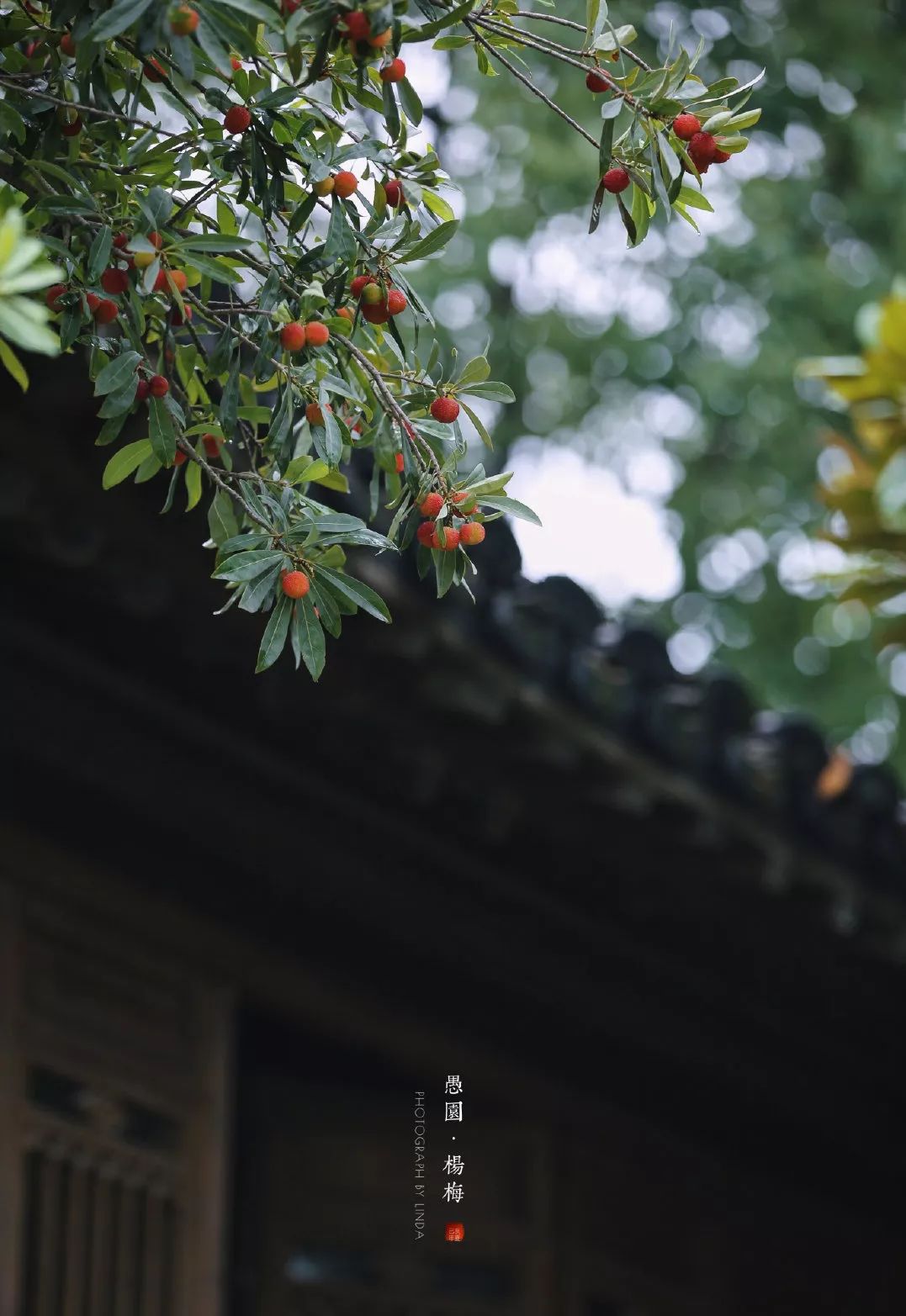 岁月之河中的生活美学-20