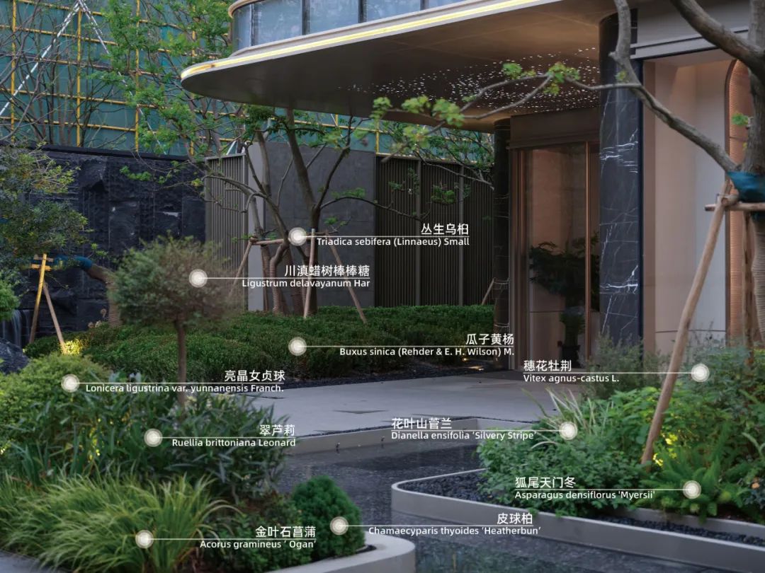 重新组合自然美 · 植物设计浅谈丨中国南京-30