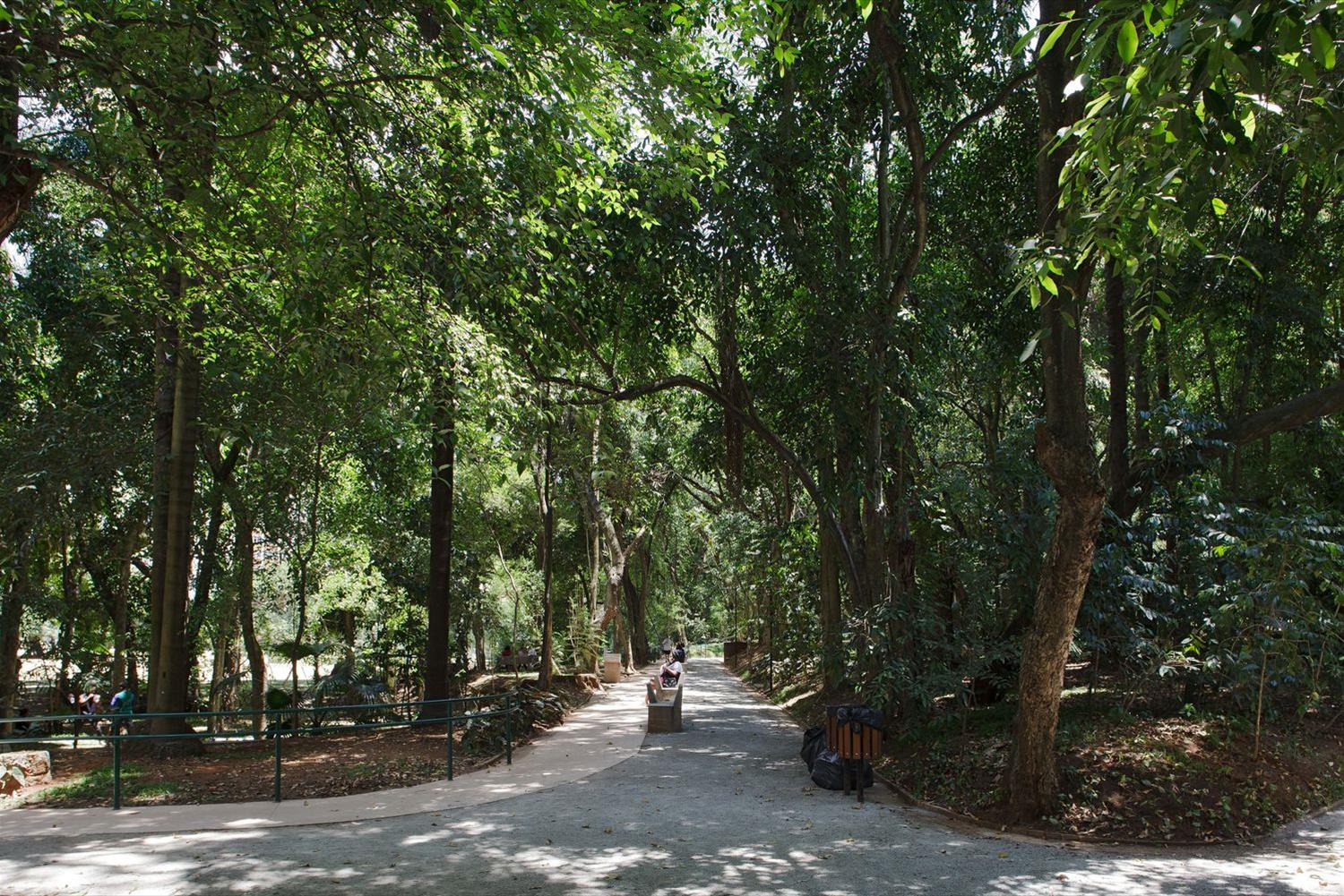 巴西 Parque Augusta 公园-4