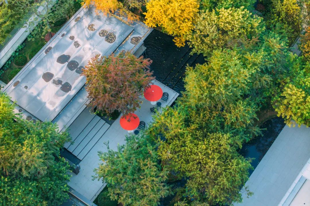 商丘金沙国安天和住宅景观丨中国商丘-26