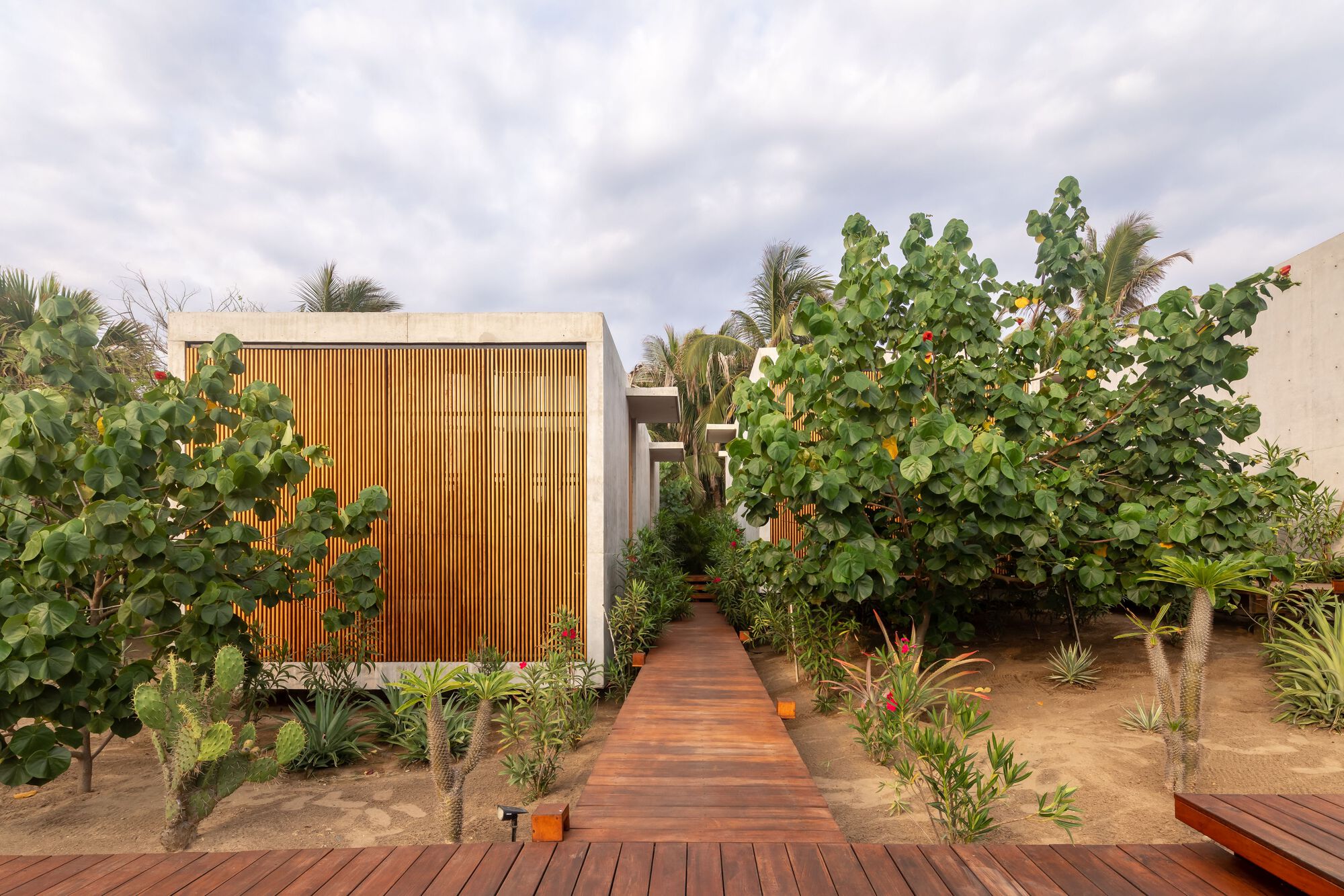 莱里亚之家丨墨西哥瓦哈卡丨TAC Taller Alberto Calleja-7