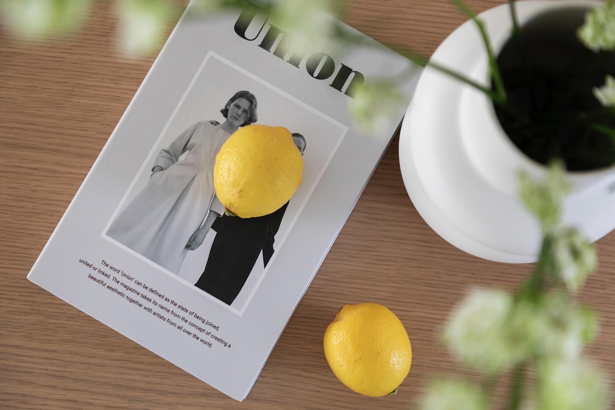 梵本设计｜孟婧作品-10