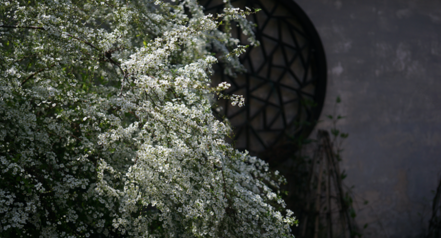 回声花园 · IT 夫妇的乡野生活丨中国黄山丨红子,小可夫妇-52