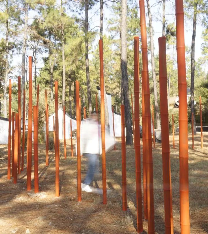 沈阳建筑大学“生长中的熊猫舞台” | 竹构与场地的共生设计-40