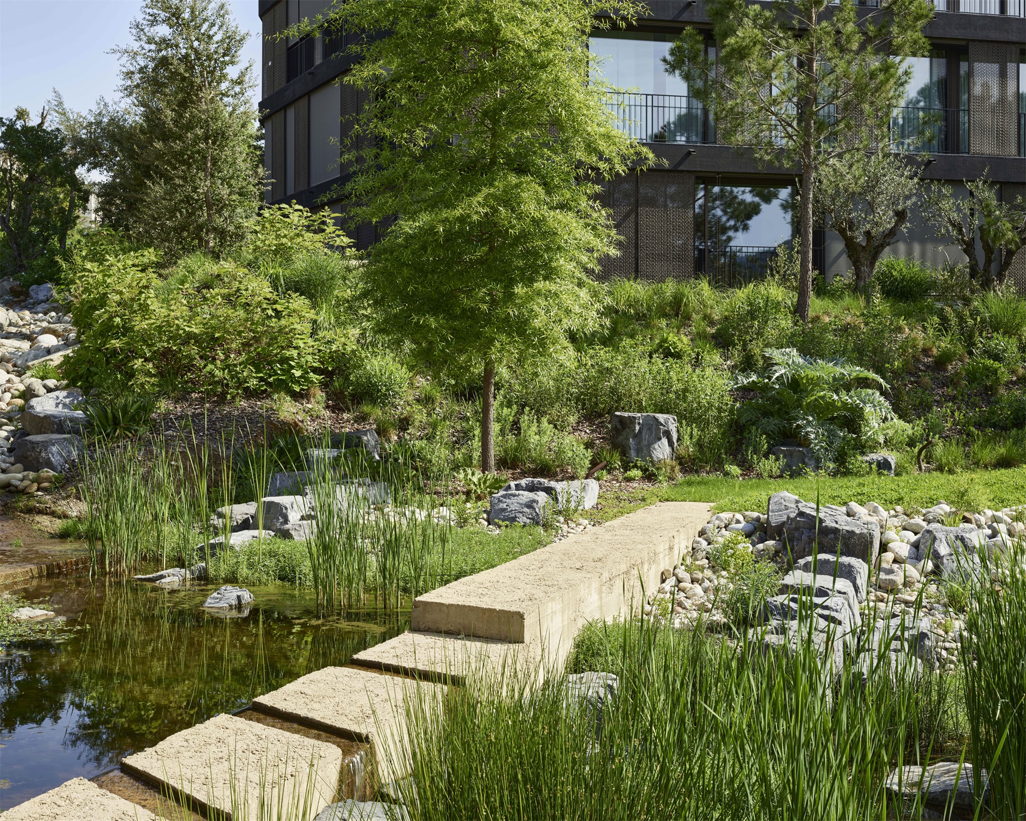 卡萨里科社区公园丨瑞士-23