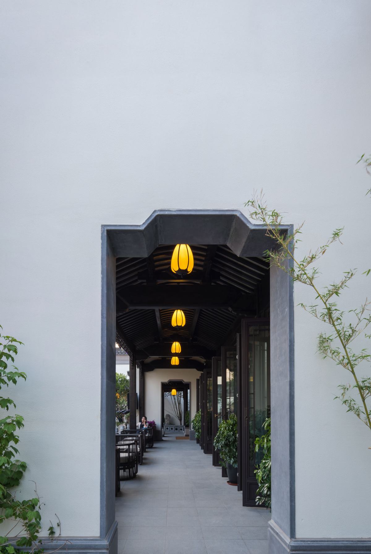 天津桃李春风-44