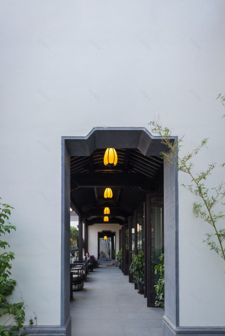 天津桃李春风-44