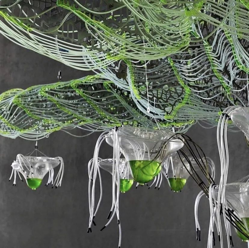 数字未来 2020 全球抗疫公益数字工作营全导师阵容揭晓！-416