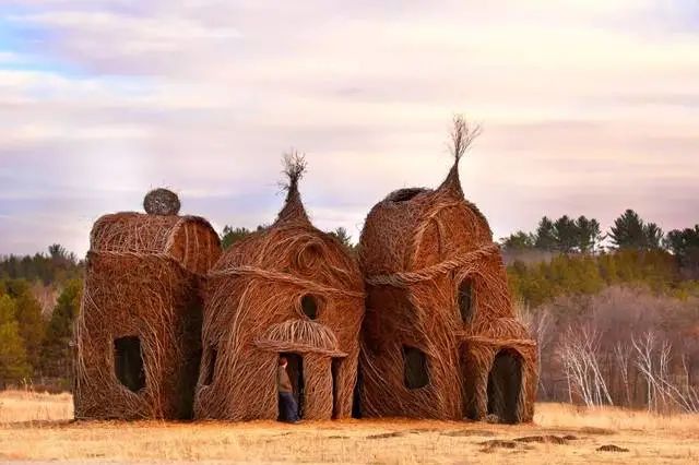 森林幻想家 | Patrick Dougherty 的树枝艺术-39