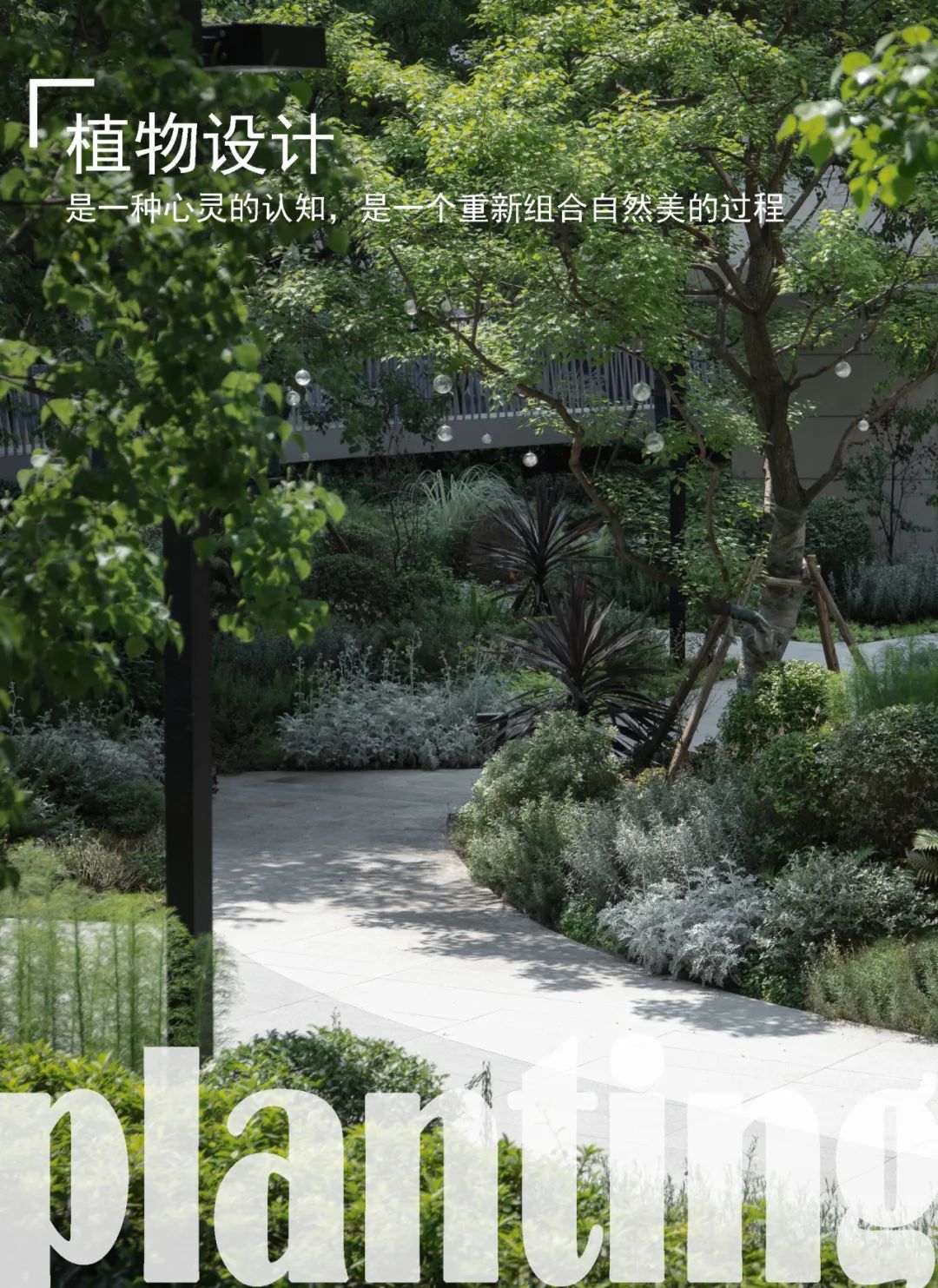 重新组合自然美 · 植物设计浅谈丨中国南京-0