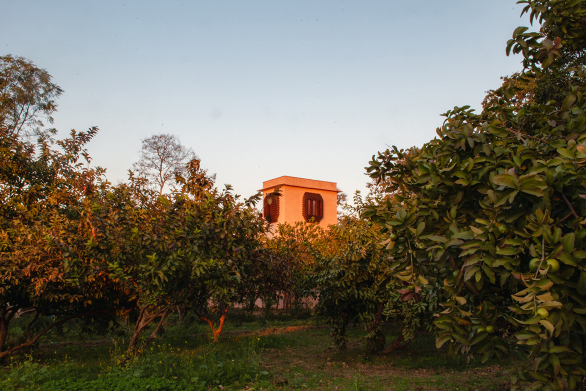 皇家花园游客中心丨印度丨Dharatal-36