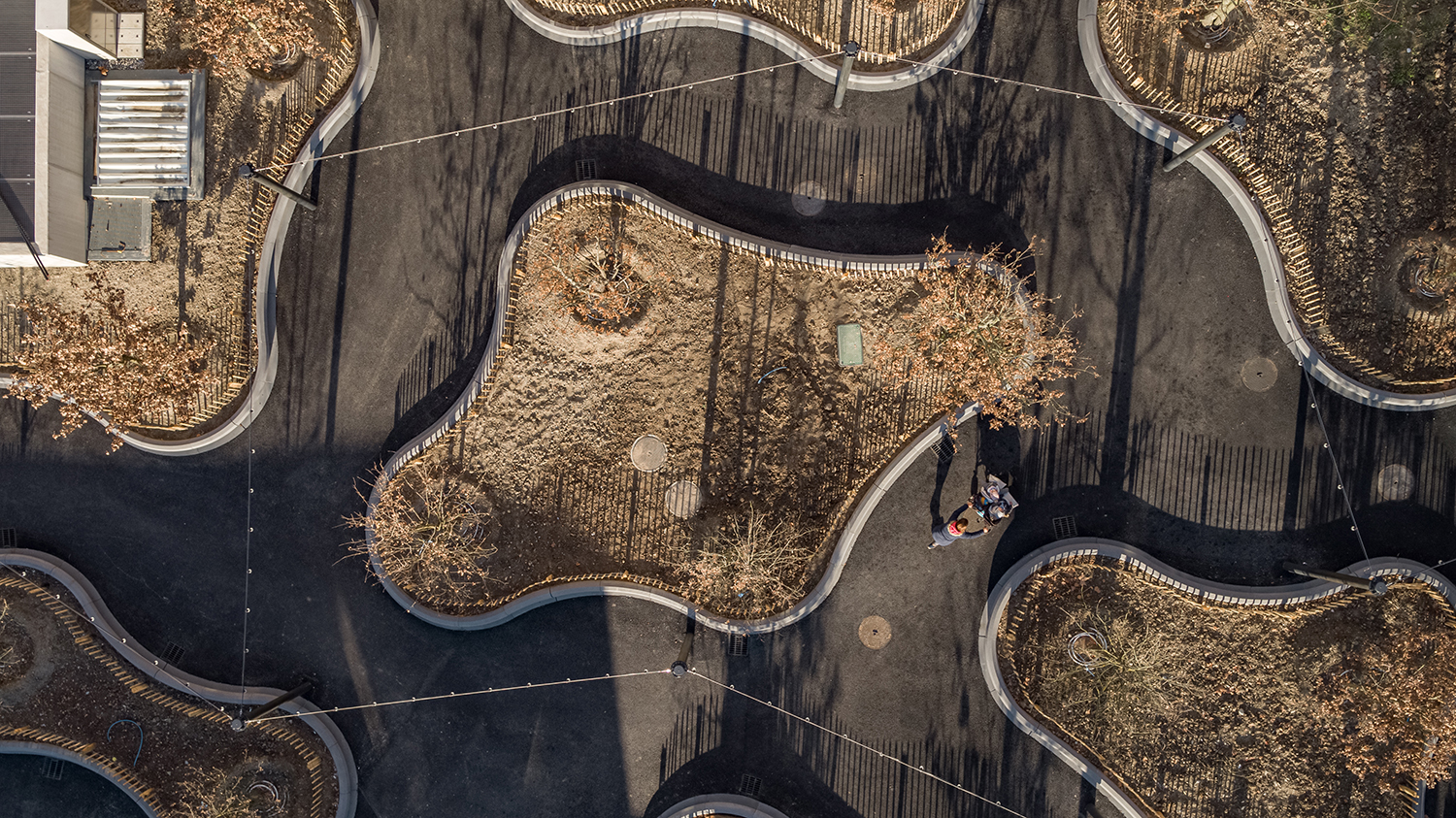 7000 Oaks 与城市生态共生的艺术设计-14