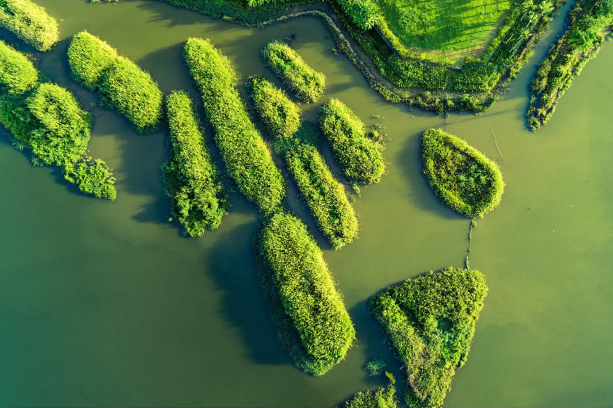 美舍河凤翔公园丨中国海口丨土人设计-32