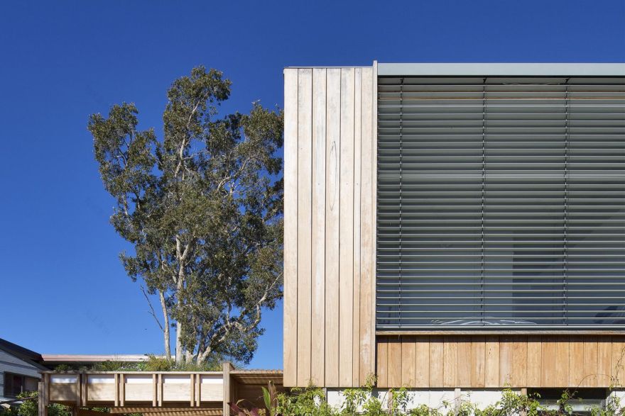 Crisp House 绿色环保之家-30