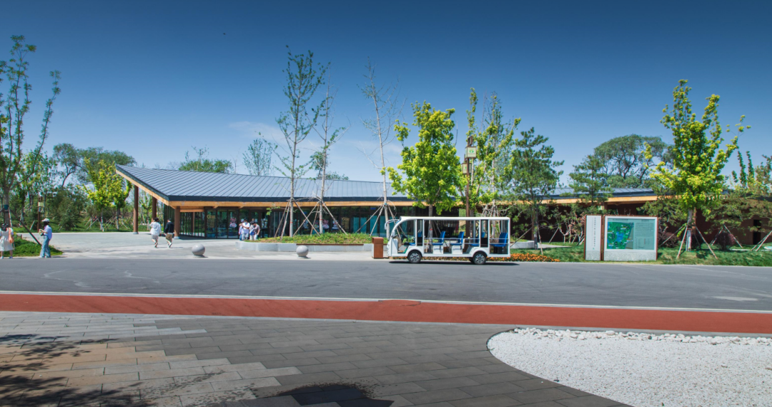 沧州园博园公共楔景观设计丨中国沧州-29