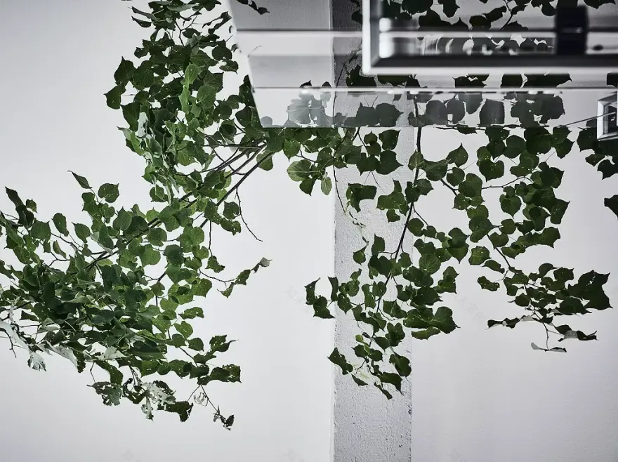 艺术家的工业风之家 | OSB 厨房底座成亮点-14