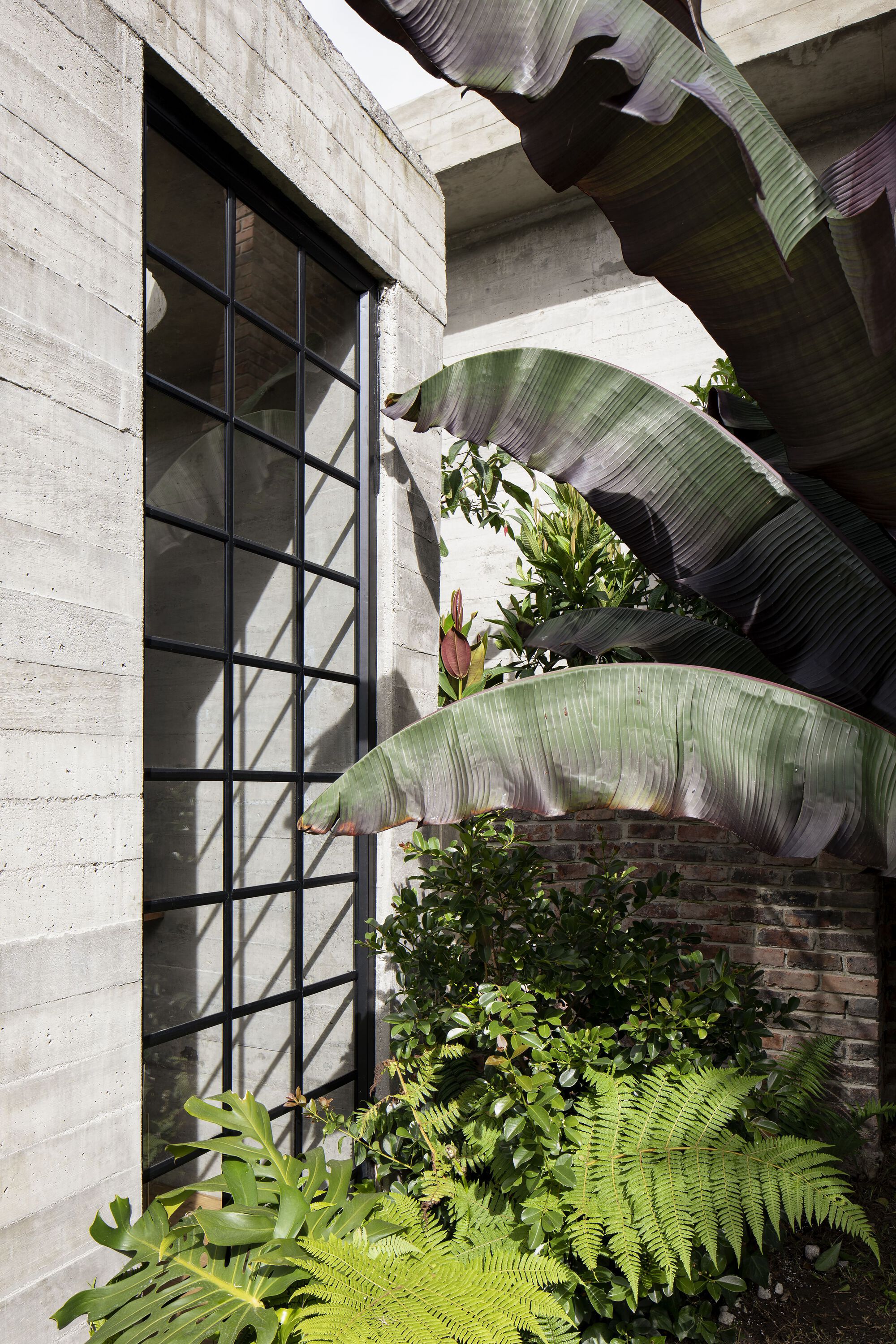 枫木房子丨哥伦比亚丨A.LUGAR-19