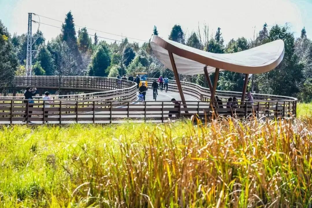 【中规作品】春城新画卷——滇池绿道之春日请柬-58