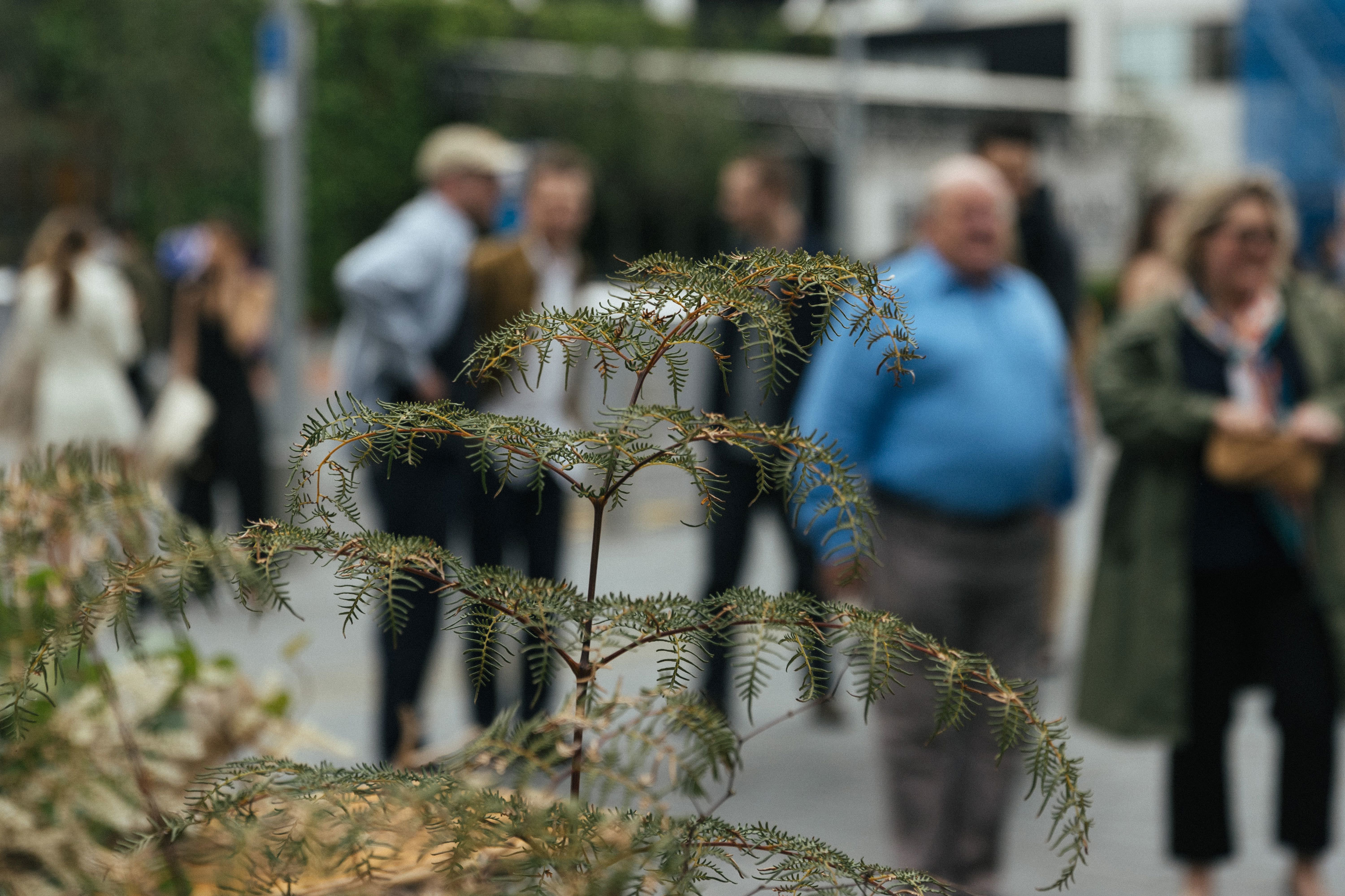 Maggie Marilyn - Xanthe White Design-31