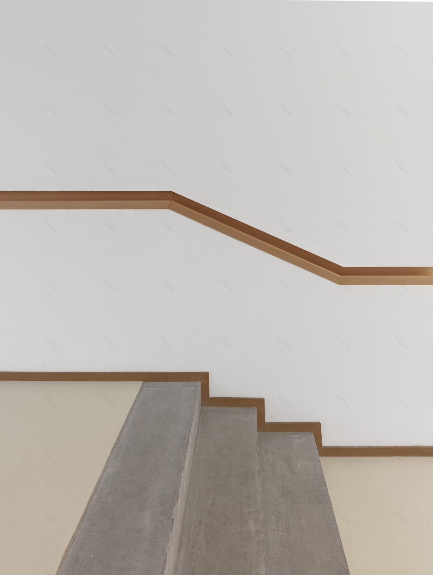 组学研究中心丨法国巴黎丨jaq-31