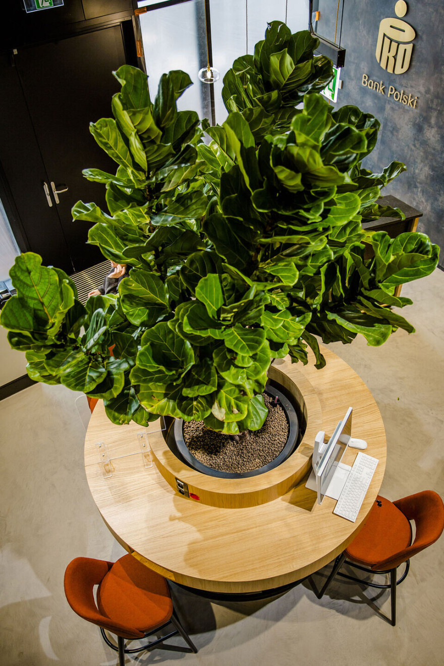 波兰Łódź市 PKO Bank Polski 银行第 19 分行设计丨Trzop Architekci-19