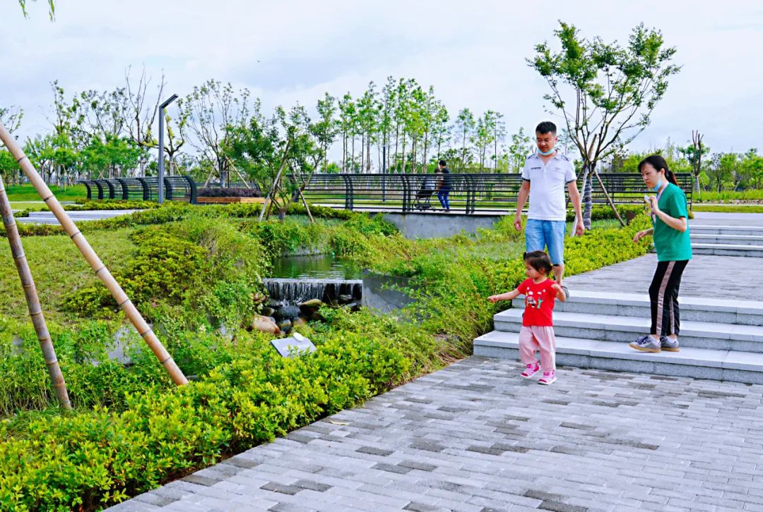 钱塘生态公园 | 海绵城市理念的绿色景观-12