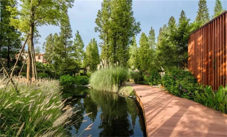 边界植物在景观设计中的妙用-68