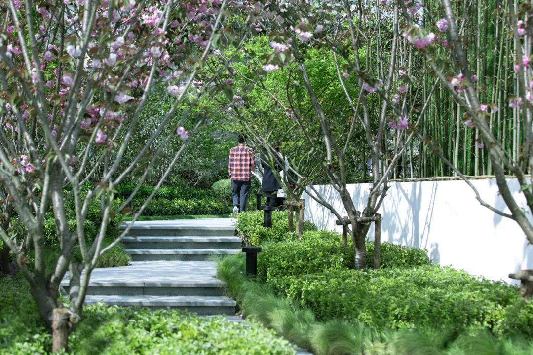 上海万境景观丨苏州 森屿湾栖 景观设计 丨中国苏州-73