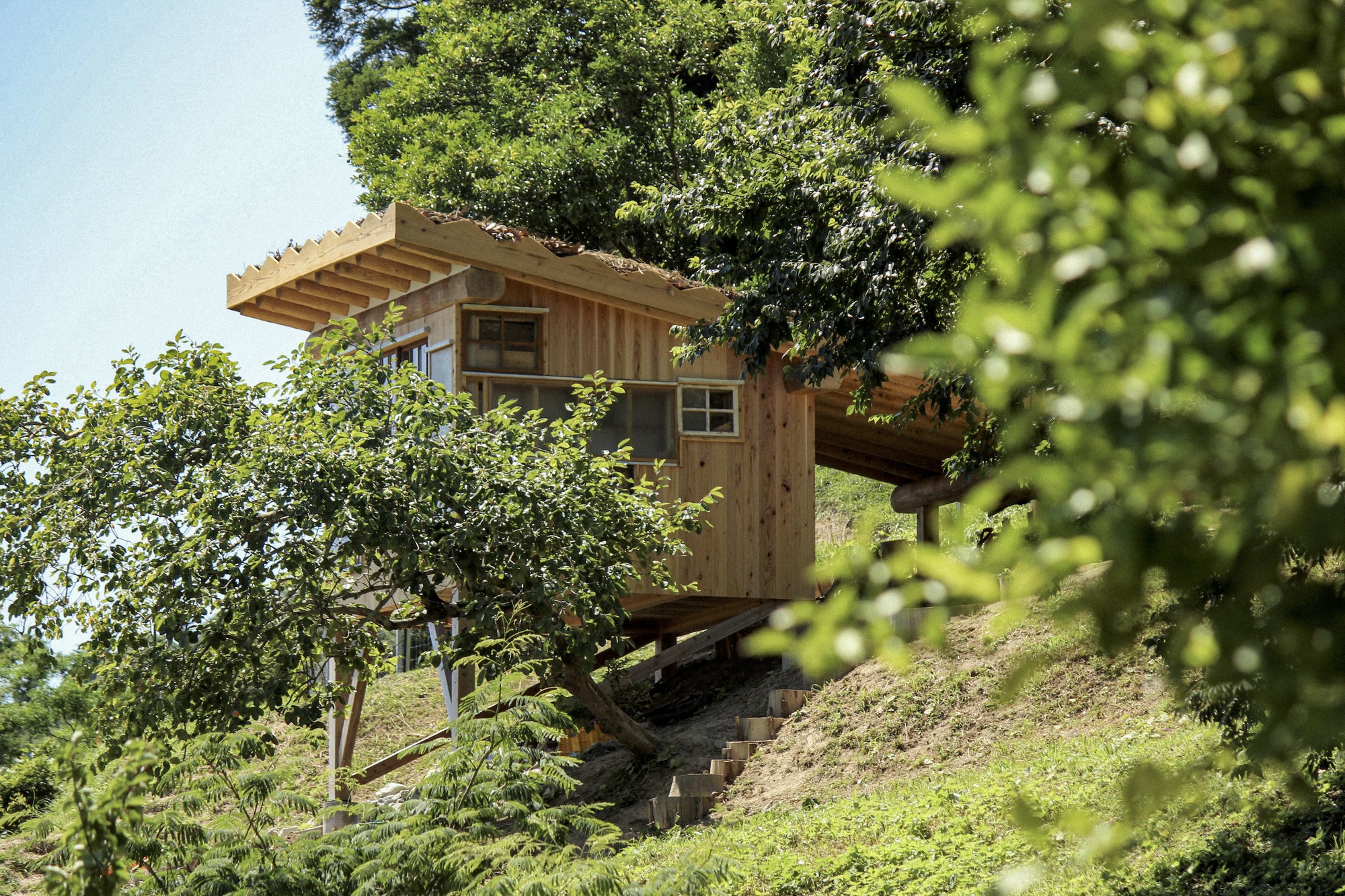 小房子特基特基安丨日本丨6lines studio-28