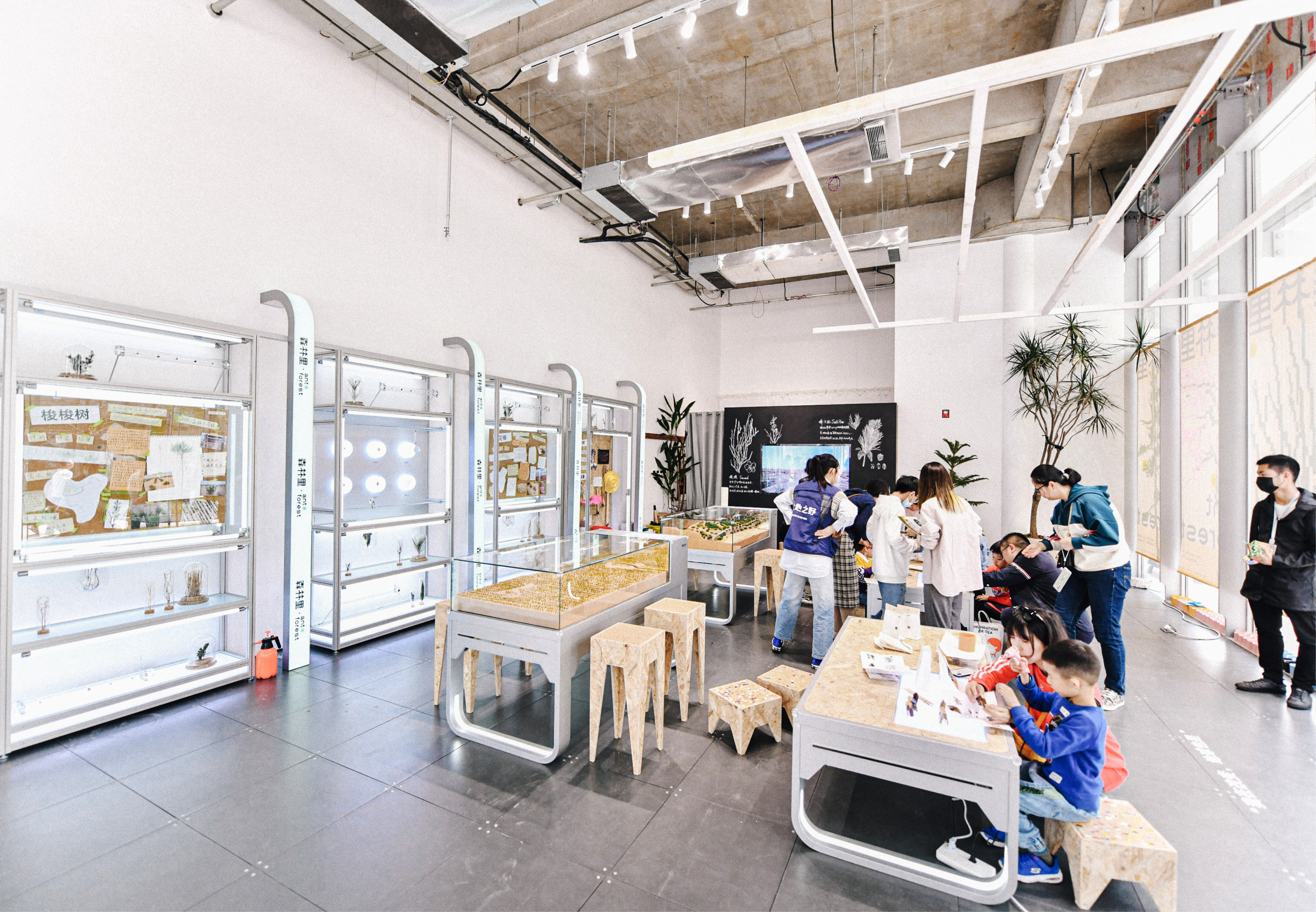 杭州天目里绿色嘉年华「森林里」丨中国杭州丨蚂蚁森林,杭州天目里,不是美术馆-27