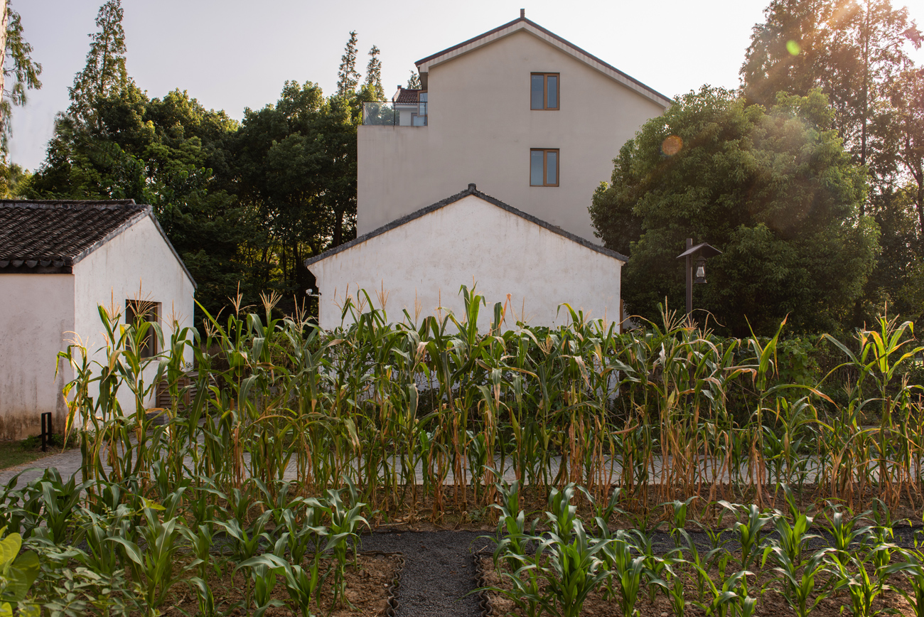 白相里·绿水人家-63