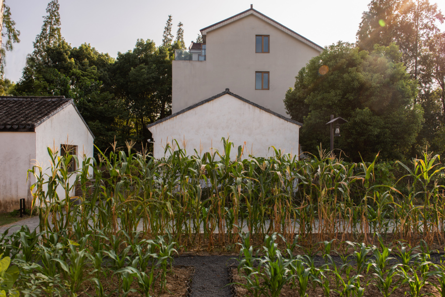 白相里·绿水人家-63