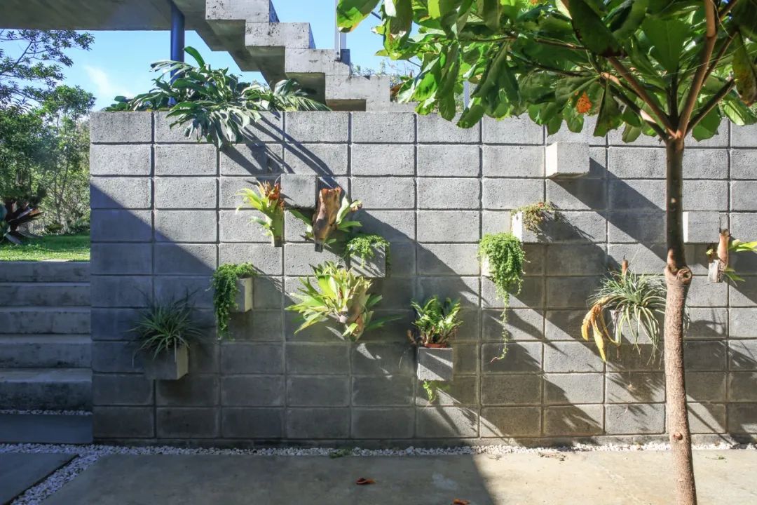 哥斯达黎加山间环保住宅 | 融入自然的现代居所-35