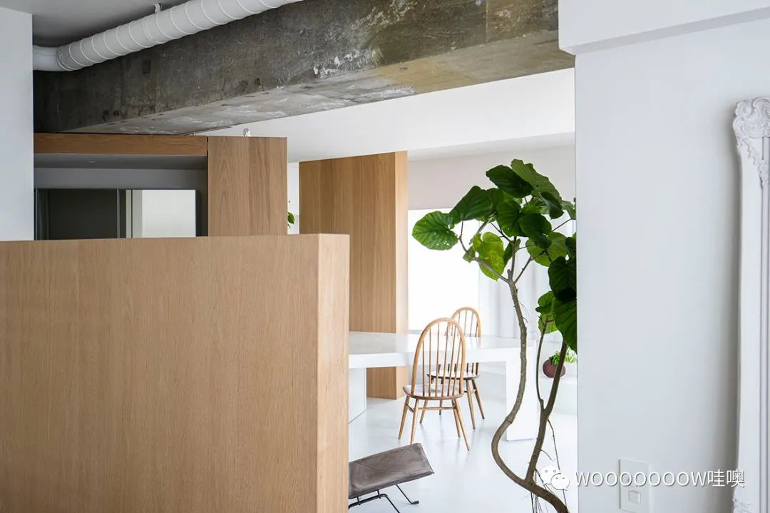 东京 403 室住宅，简约空间中的不对称布局-3