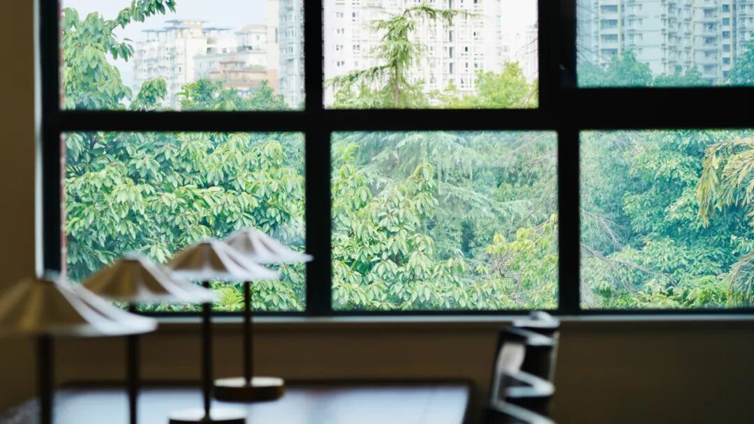 全面升级！重大图书馆上新，速来get！-11