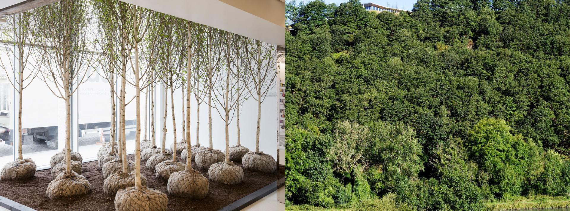 Abdij van Villers  la  Ville新访客路线项目-33