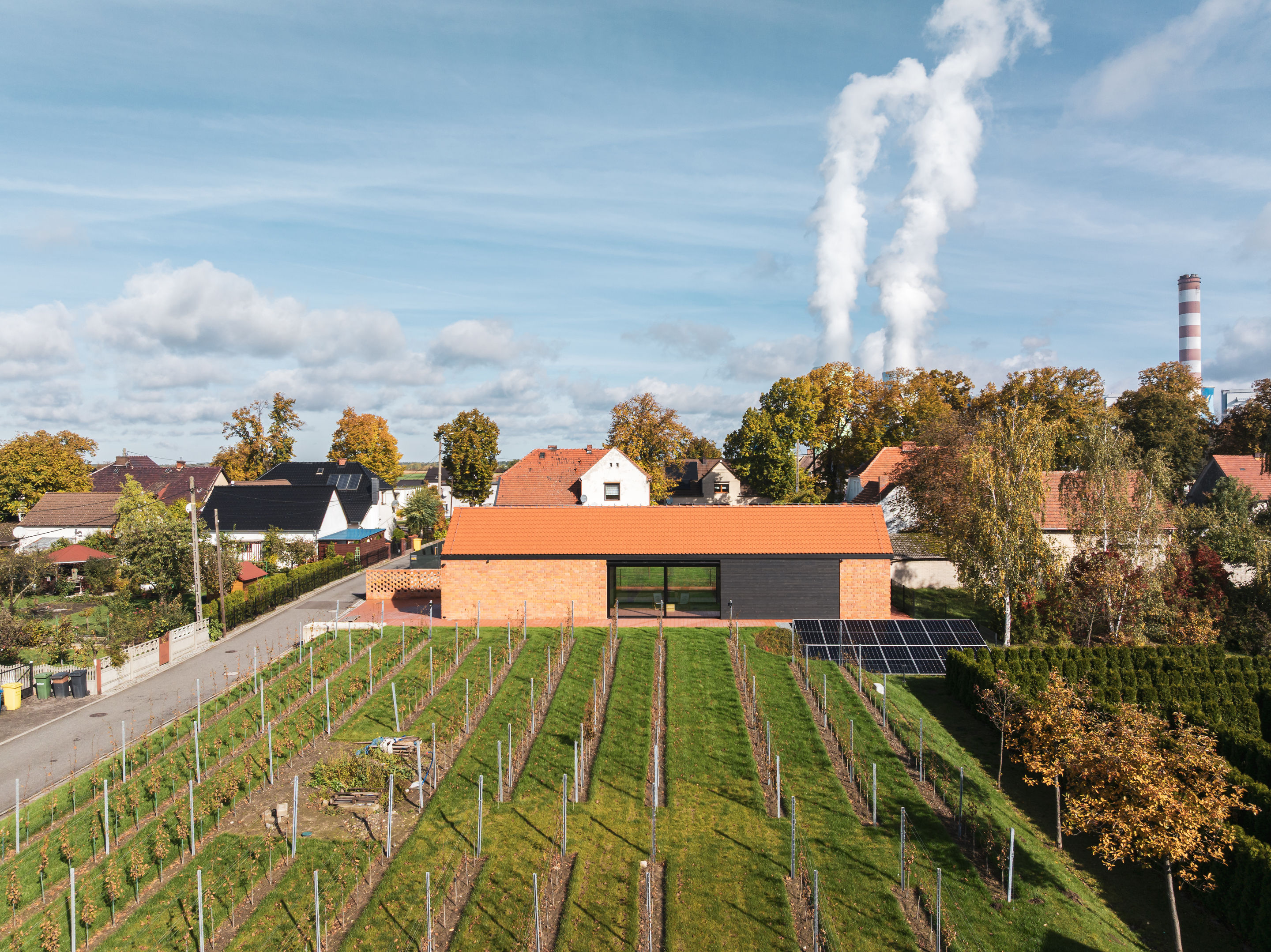 VINEYARD IN DOBRZEŃ MAŁY, POLAND | PORT-12