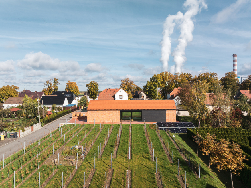 VINEYARD IN DOBRZEŃ MAŁY, POLAND | PORT-12