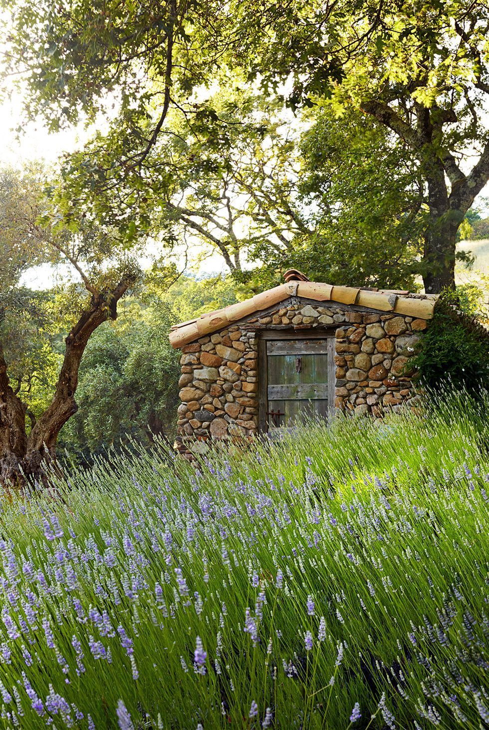 77 种后院设计创意，让你的空间变成梦幻天堂-10