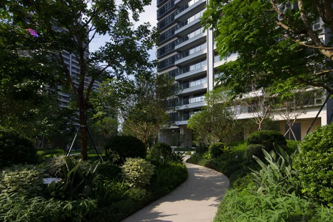 东莞 · 中海松湖云锦丨中国东莞丨奥雅股份深圳设计二所-38