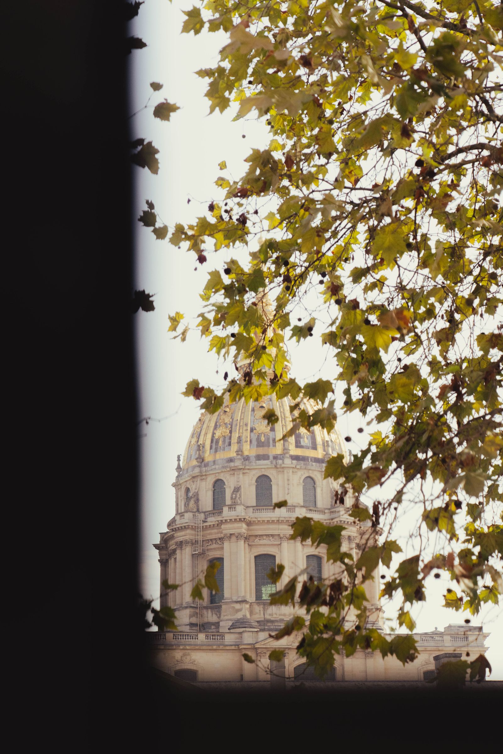 巴黎58平米公寓创意翻新丨法国巴黎丨巴黎室内建筑工作室Maison Baumann-12