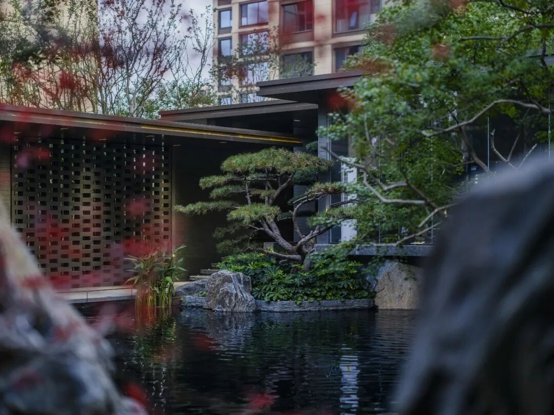 邯郸 · 天正 · 凤鸣九章丨中国河北丨麦田景观-2