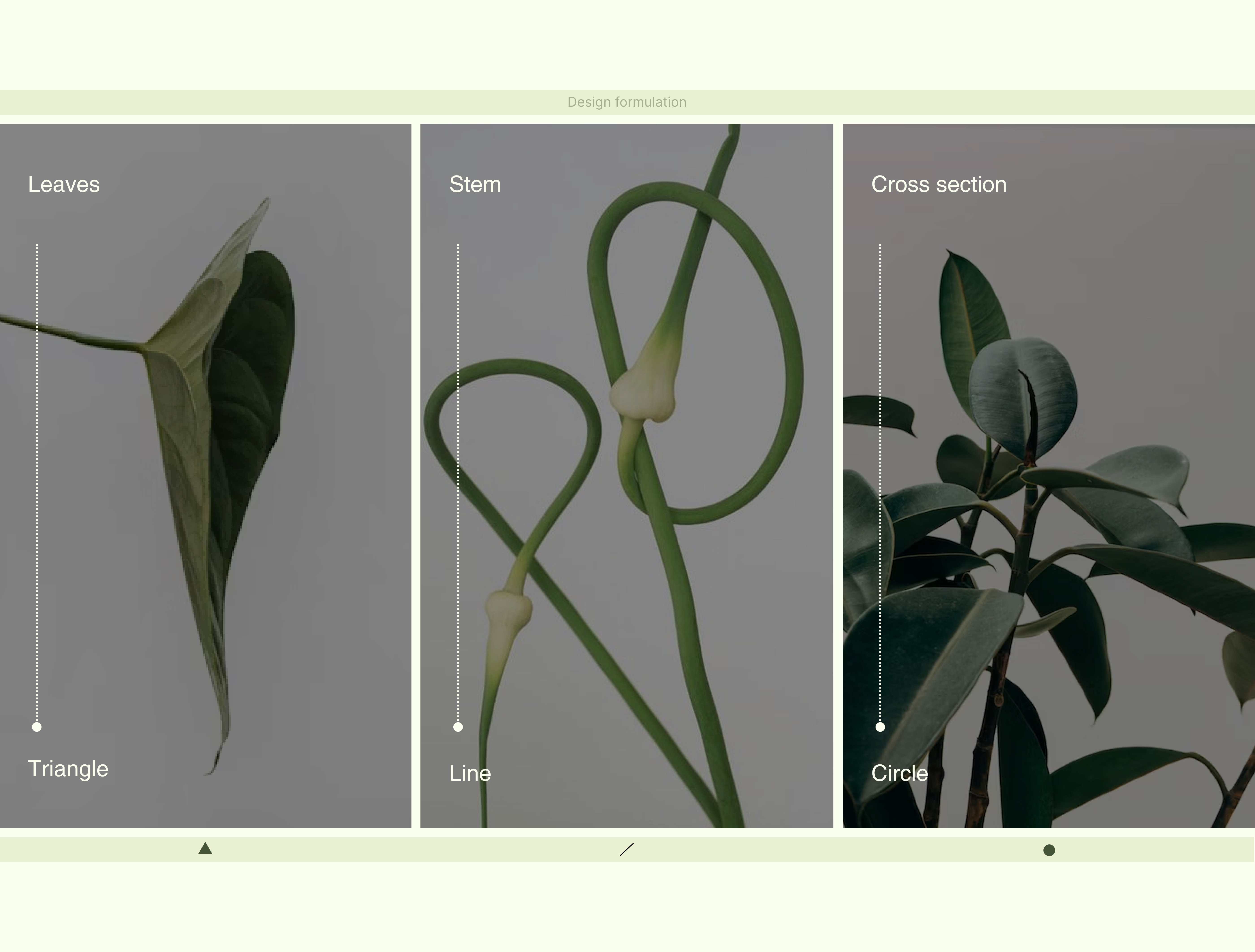 绿色植物；草木；绿色植被-5